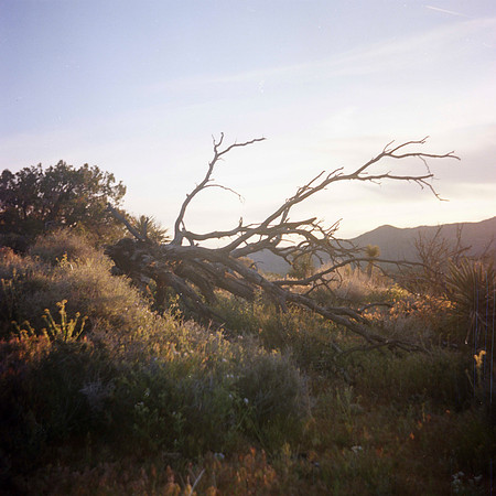 Medium Format Hiking008