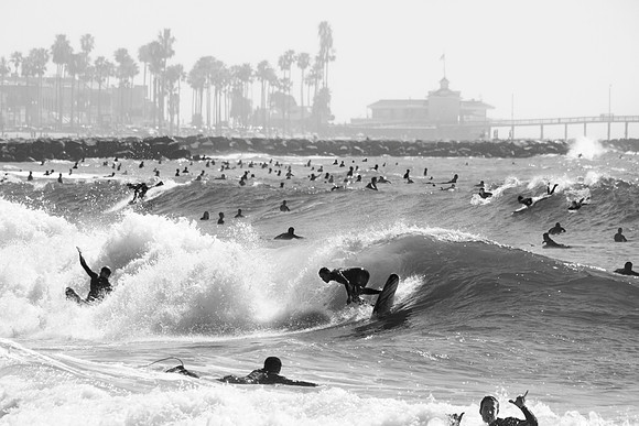 crowdBW_2