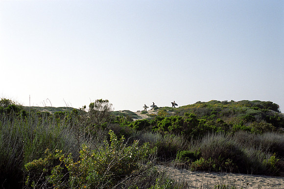trestles check_1